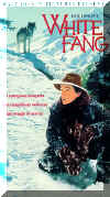 White Fang.jpg (51141 bytes)